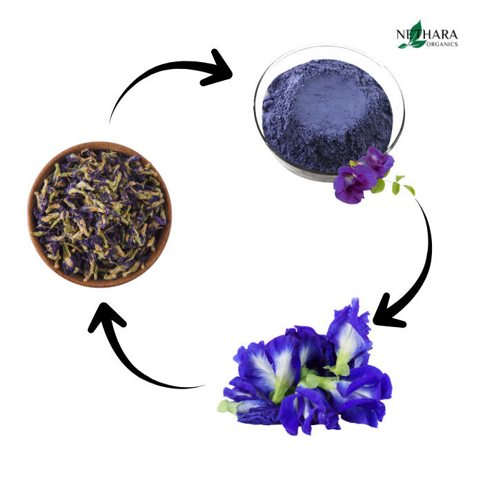 Premium Butterfly Pea Powder | Natural Blue Spirulina Alternative (Clitoria Ternatea)
