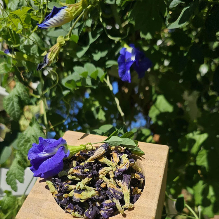 Premium Dried Butterfly Pea Flowers (Clitoria ternatea)