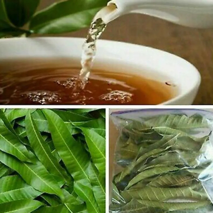 Mango Leaves,Dried Mango Leaves Powder, 100% Natural & pure Dried Mango Leaves powder